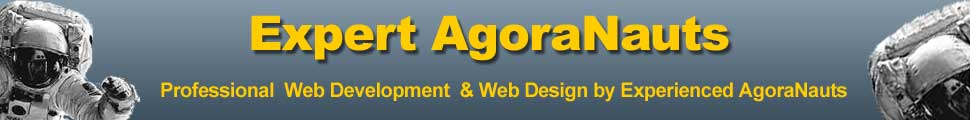 website design web development